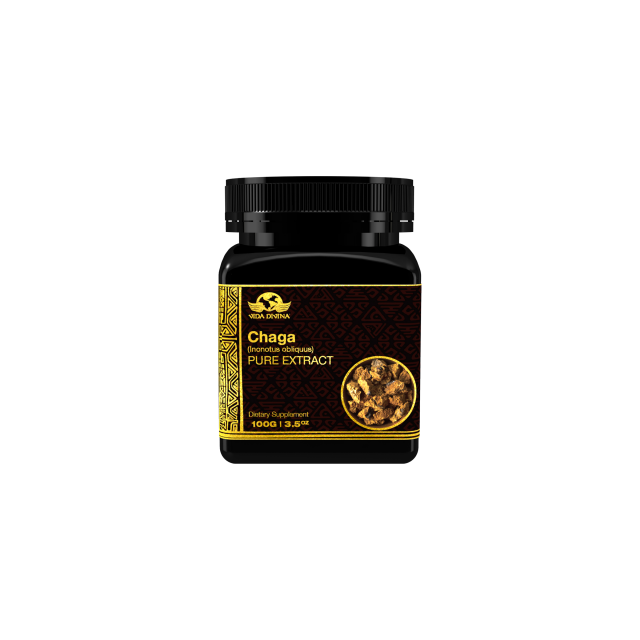 Extracto de Chaga (Chaga Extract)